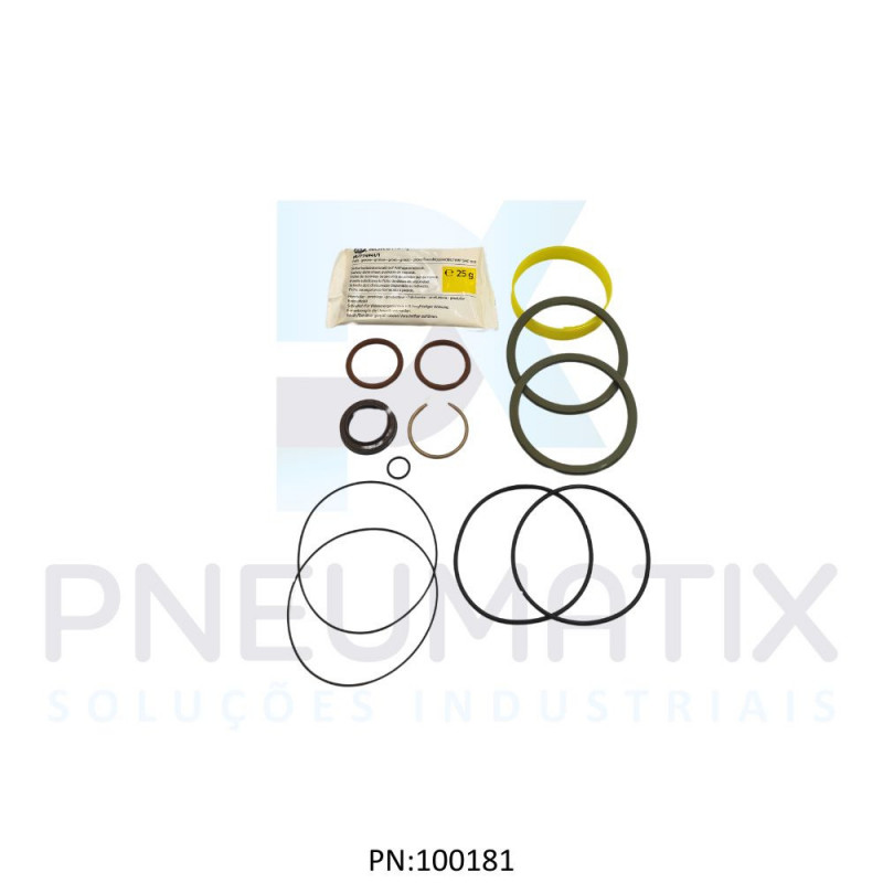 KIT REPARO CILINDRO ISO 80MM VITON TQA/8080/00 NORGREN