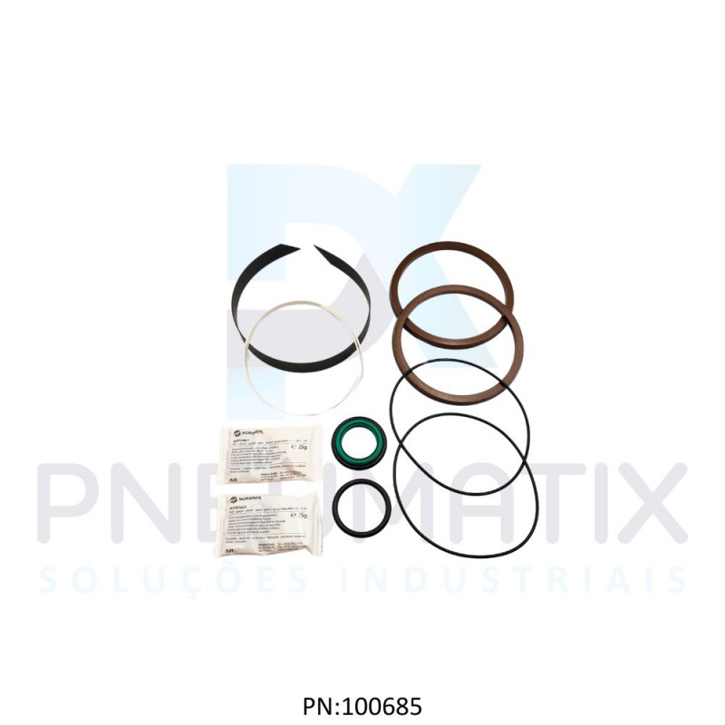 KIT REPARO CILINDRO ISO 160MM QA/8160D/00 NORGREN