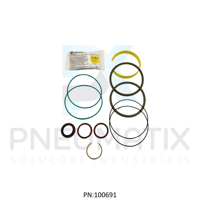 KIT REPARO CILINDRO ISO 100MM VITON TQA/8100/00 NORGREN